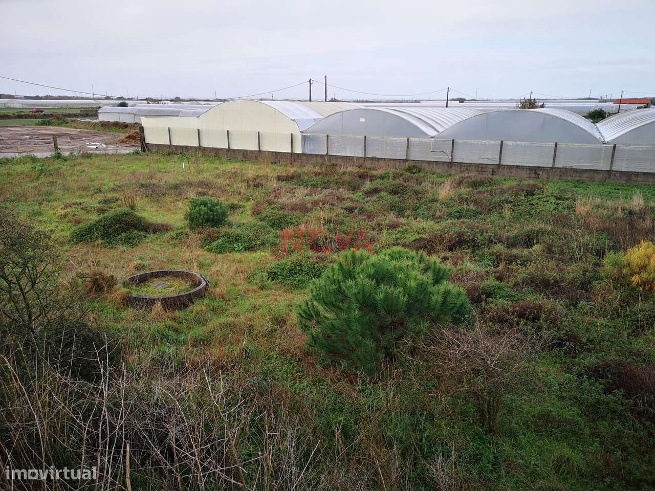 Terreno rustico na Estela | NOVA Imobiliária - Grande imagem: 3/5