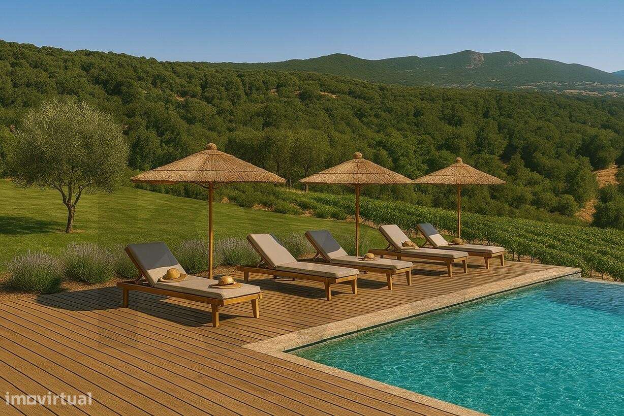 Investimento em Turismo Rural – 12 ha com Potencial de Construção na - Grande imagem: 2/34