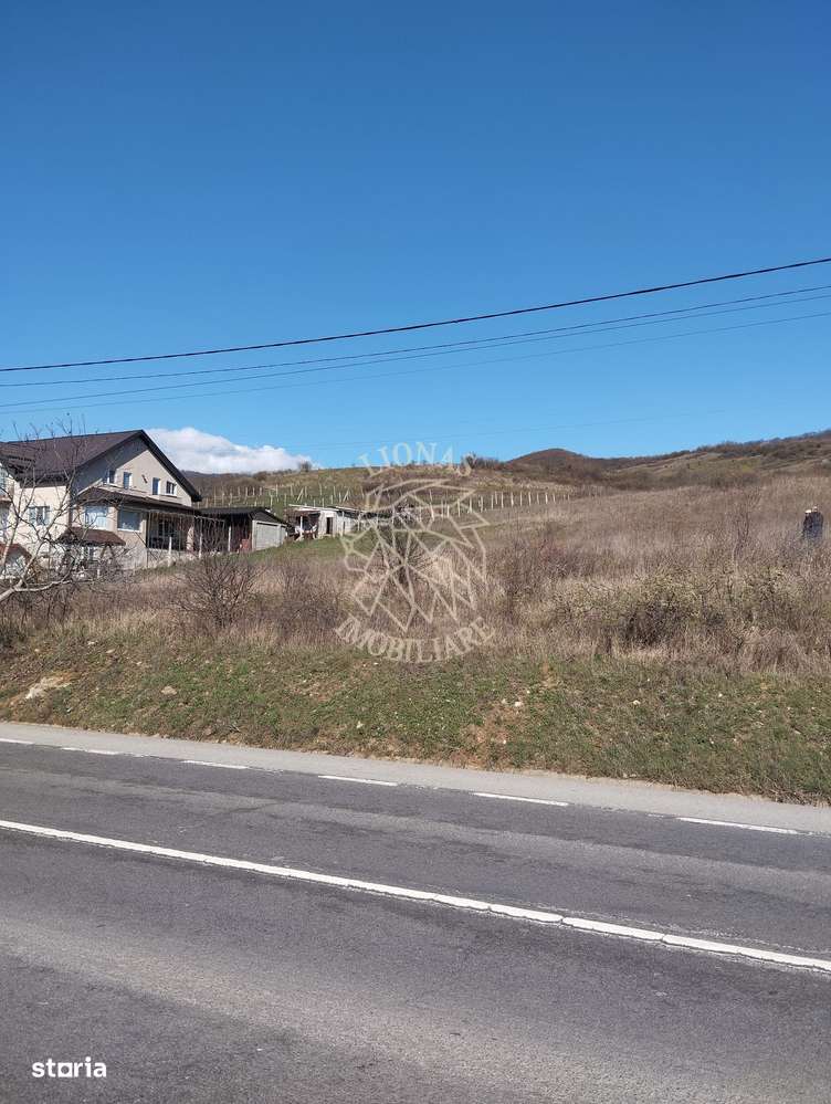 Teren intravilan 3719mp cu utilitati-deschidere la sosea -Crainimat - Imagine principală: 1/3