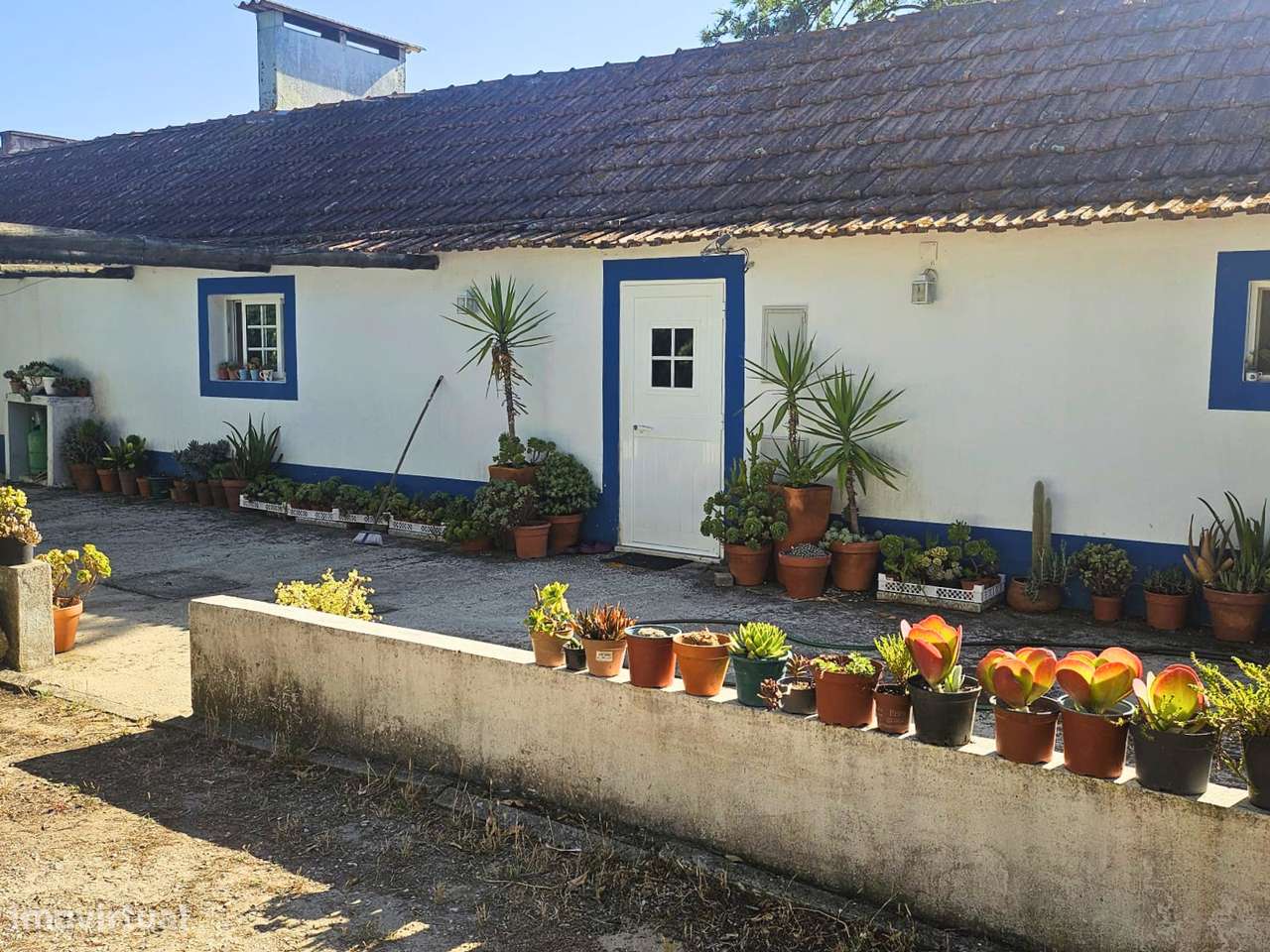 Quinta em Asseiceira-23