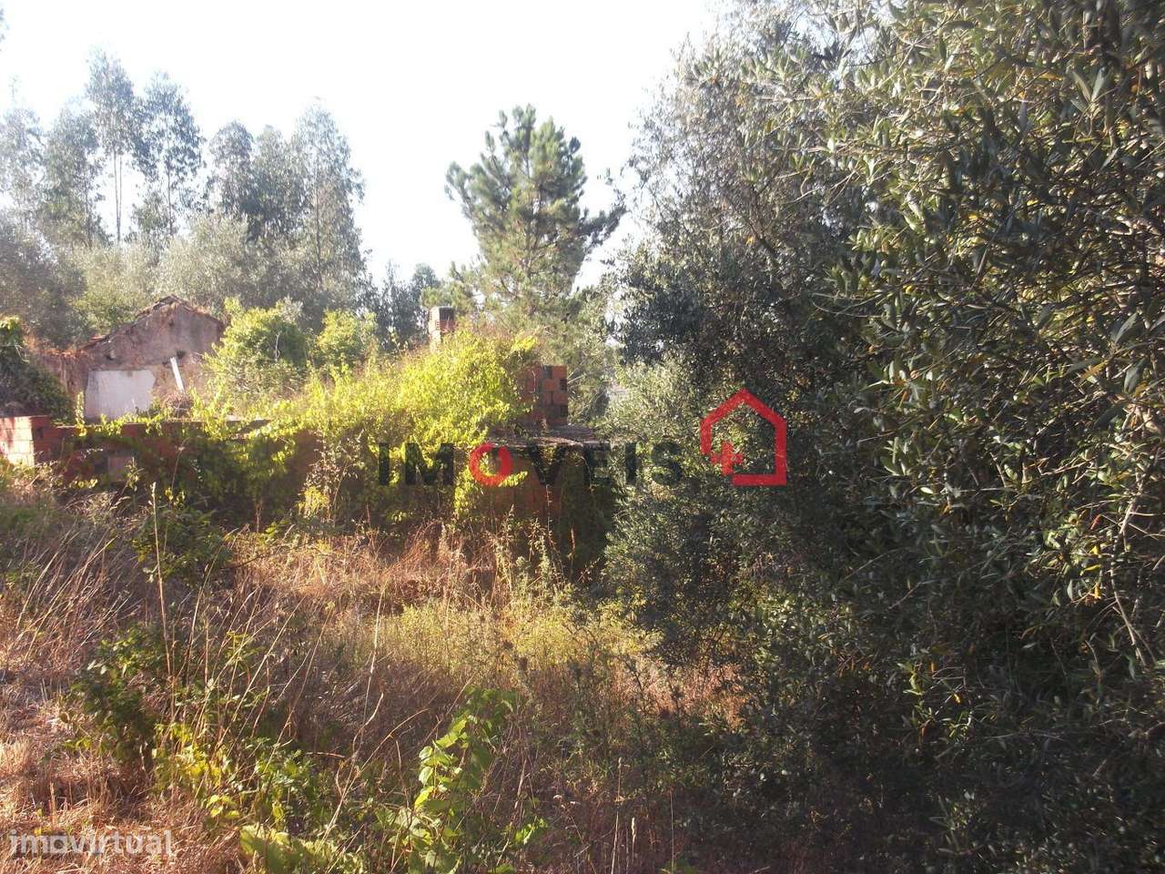 Terreno - Grande imagem: 2/4