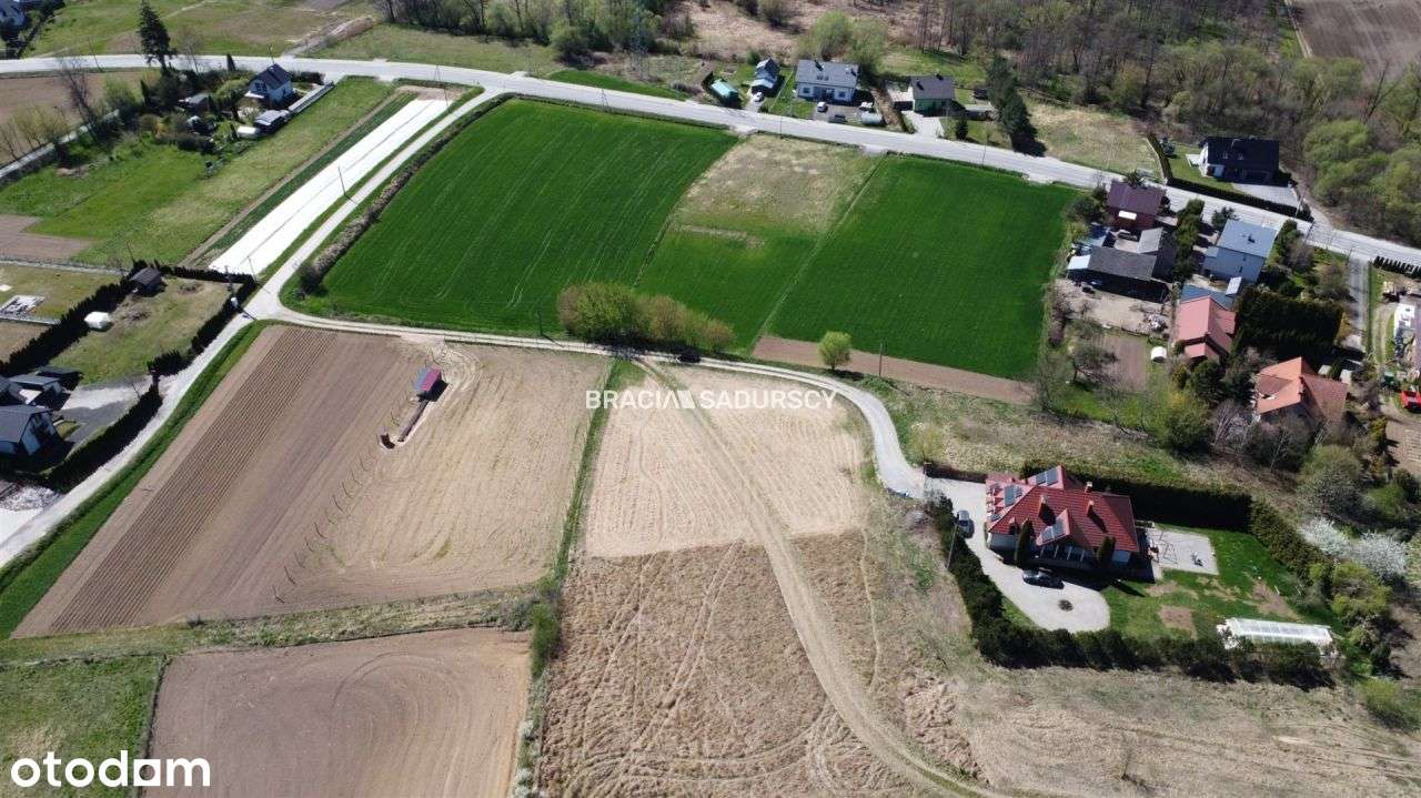 Piękna i duża działka w Książniczkach - budowlana! - Pełny obrazek: 5/6