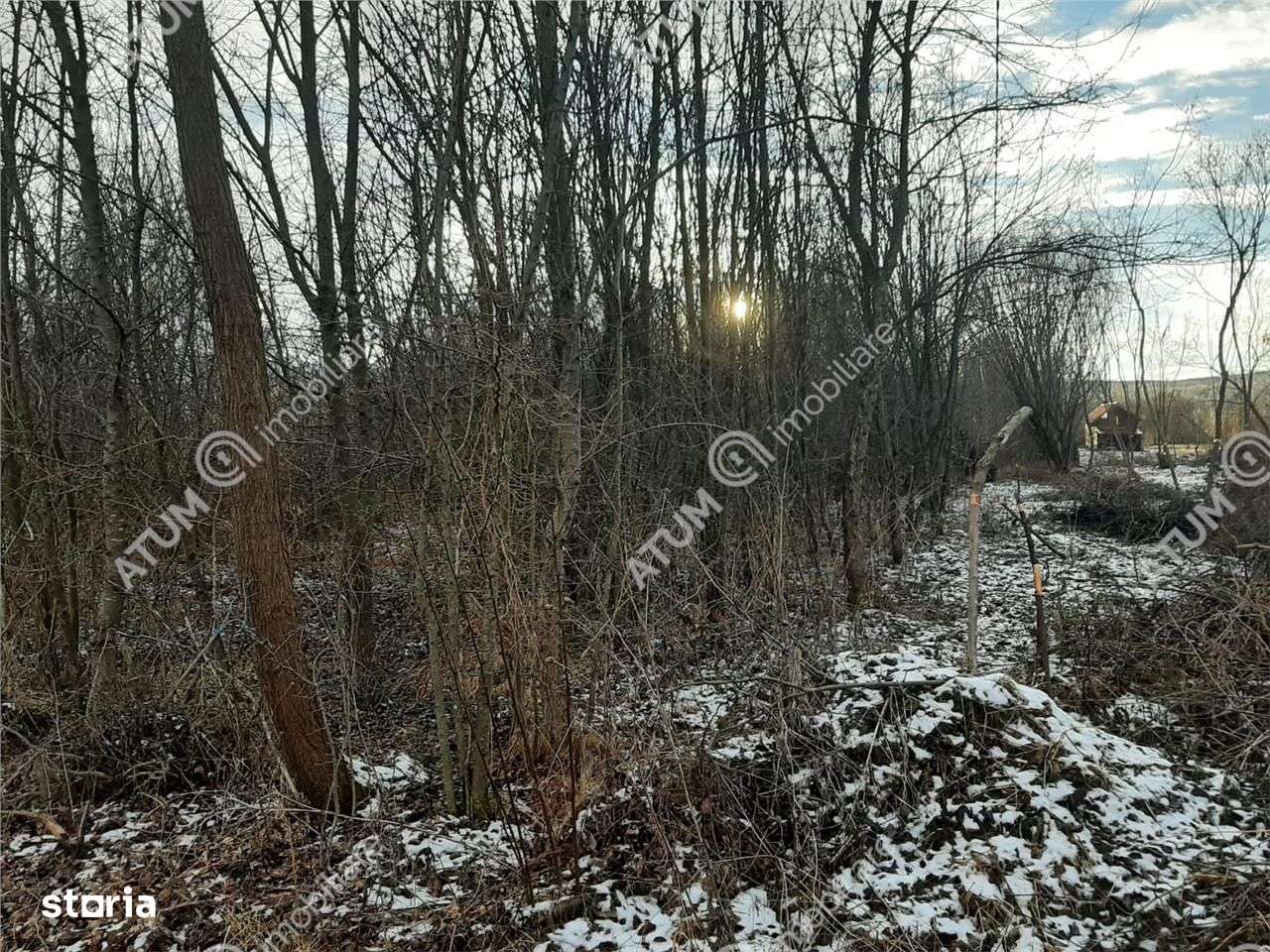 Teren Intravilan 1600 mp in Avrig zona Valea Avrigului - Imagine principală: 2/4