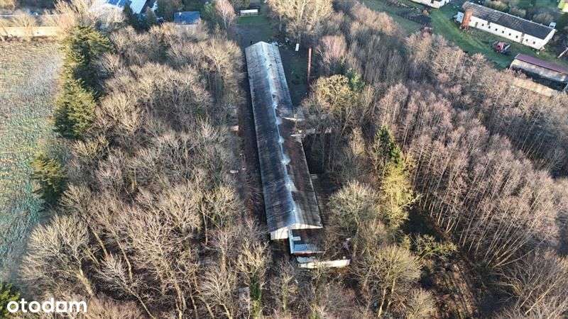 Hala na wynajem - Wierzchomino, powiat Koszalin - Pełny obrazek: 5/19