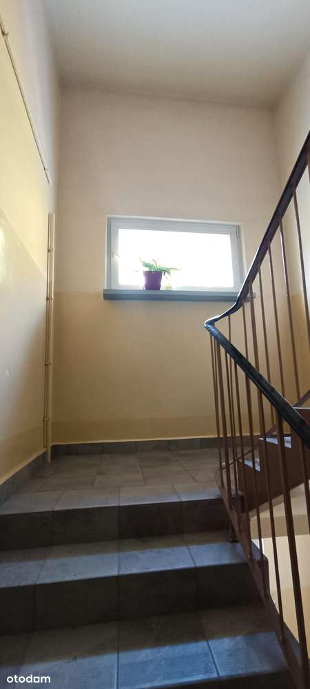 3-pok. z balkonem tuż przy parku – os. Tysiąclecia, blisko szkół i obw-8