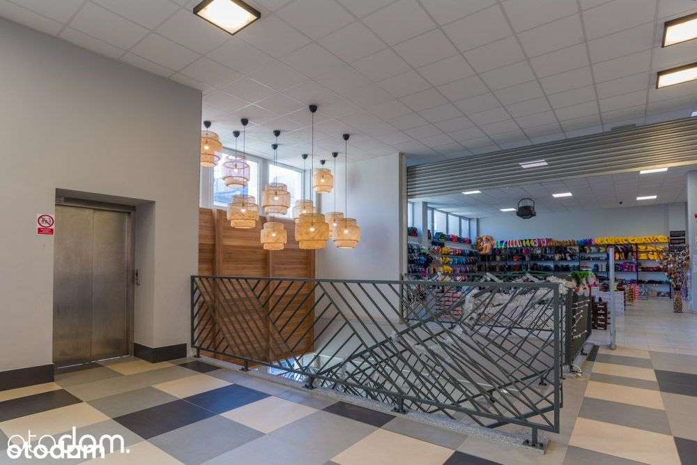 Powierzchnie handlowe DH Franky Ząbkowice Śląskie - Pełny obrazek: 3/7