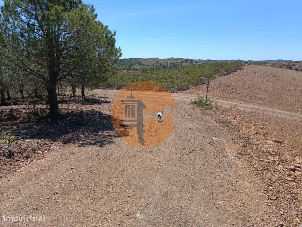 TERRENO RUSTICO COM 4.520 M2 - PRÓXIMO DA CORTE DO GAGO EM CASTRO M... - Grande imagem: 4/27
