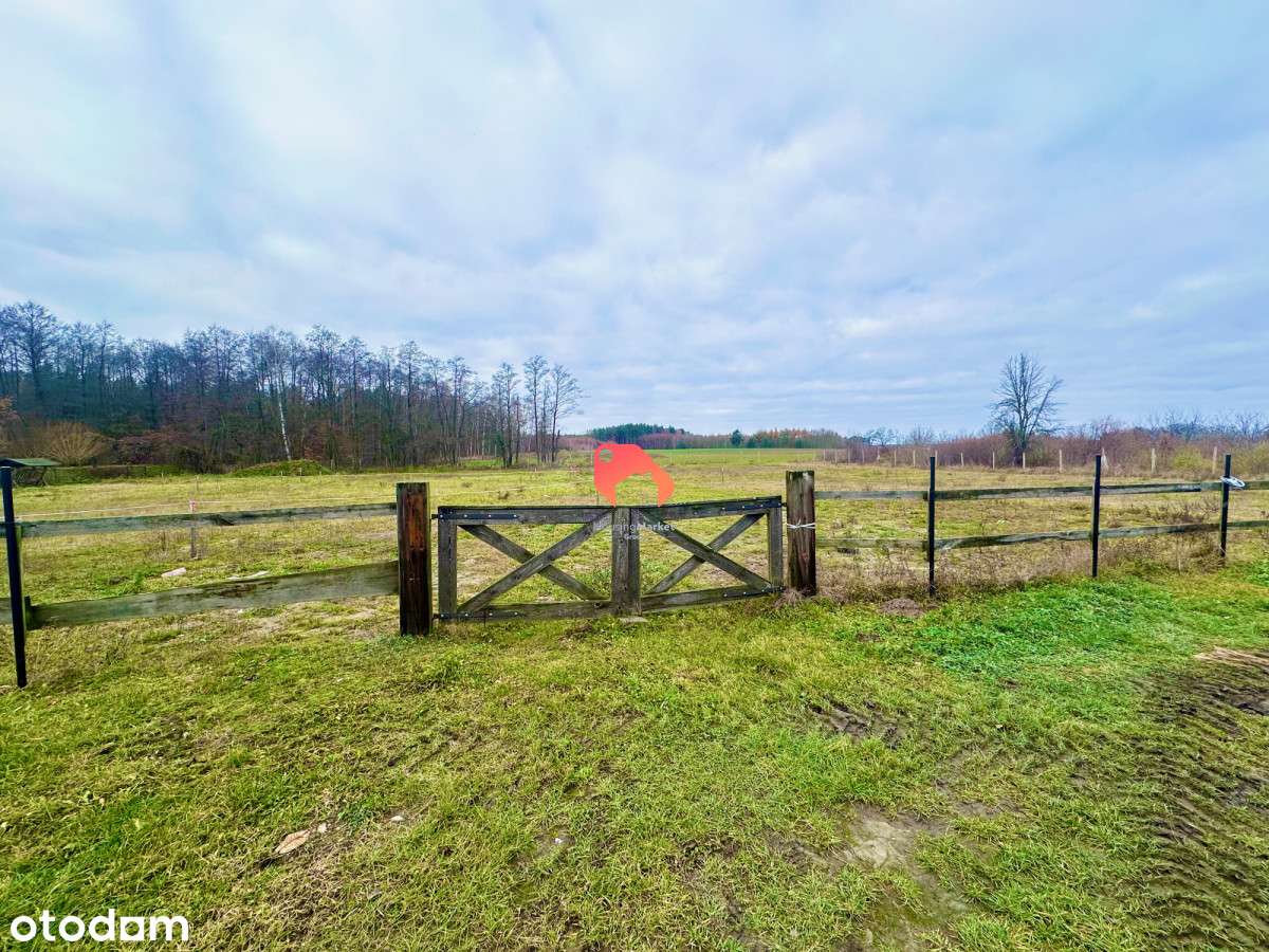 Piękna działka Pyszczyn/Magdalenka 1923m2 - Pełny obrazek: 5/6