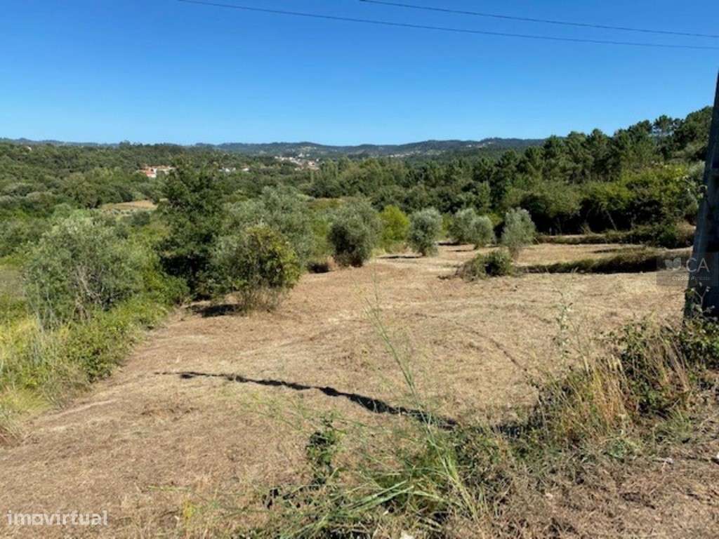 Terreno - Grande imagem: 2/6