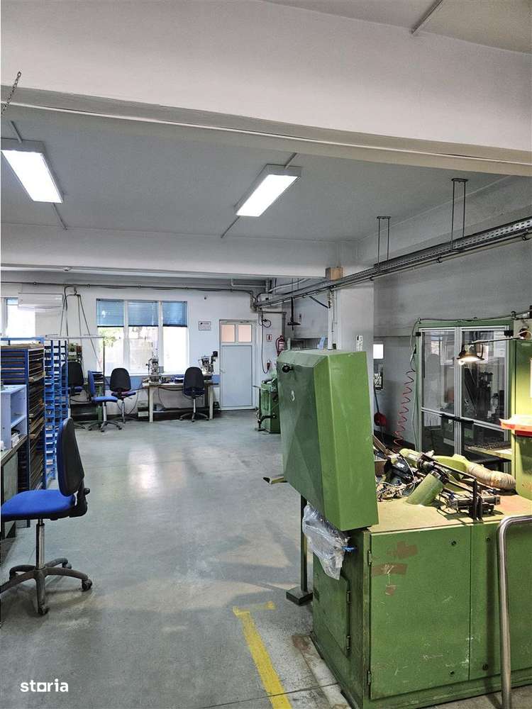 Exclusivitate - Proprietate Industriala De Vanzare - Productie - Depoz-13