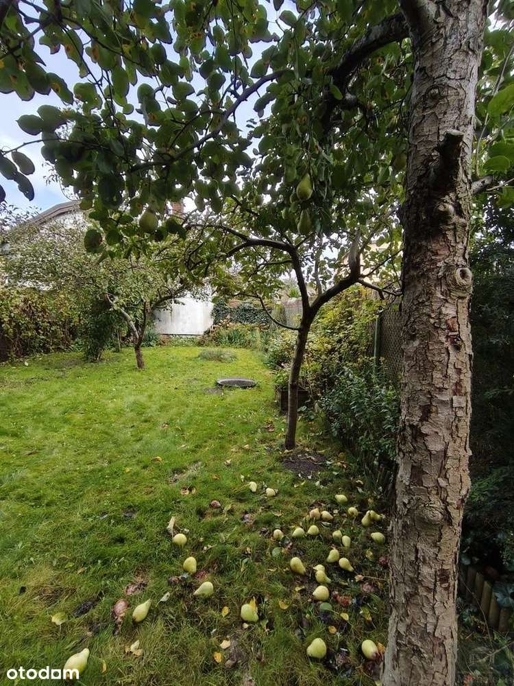 Dom, 100 m², Płock-13