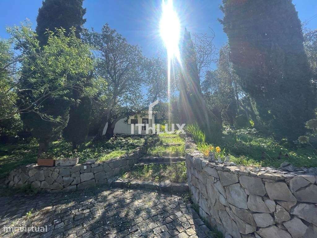 Charmosa Propriedade no Interior do Algarve com Grande Terreno, em Ago-32