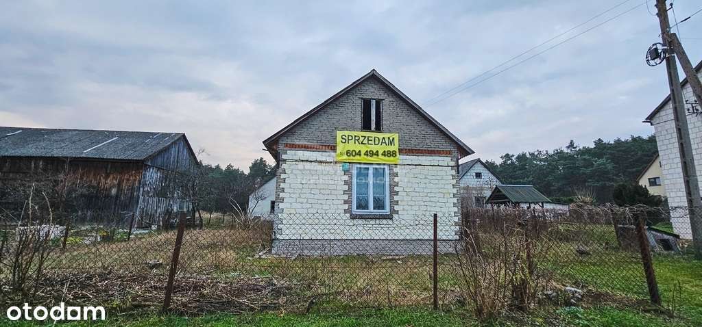 Siedlisko nad Wisłą na sprzedaż - Pełny obrazek: 4/7