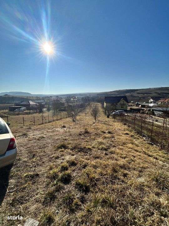 Teren intravilan pentru casa 2400 mp front 16ml Radaia sub pretul piet - Imagine principală: 3/5