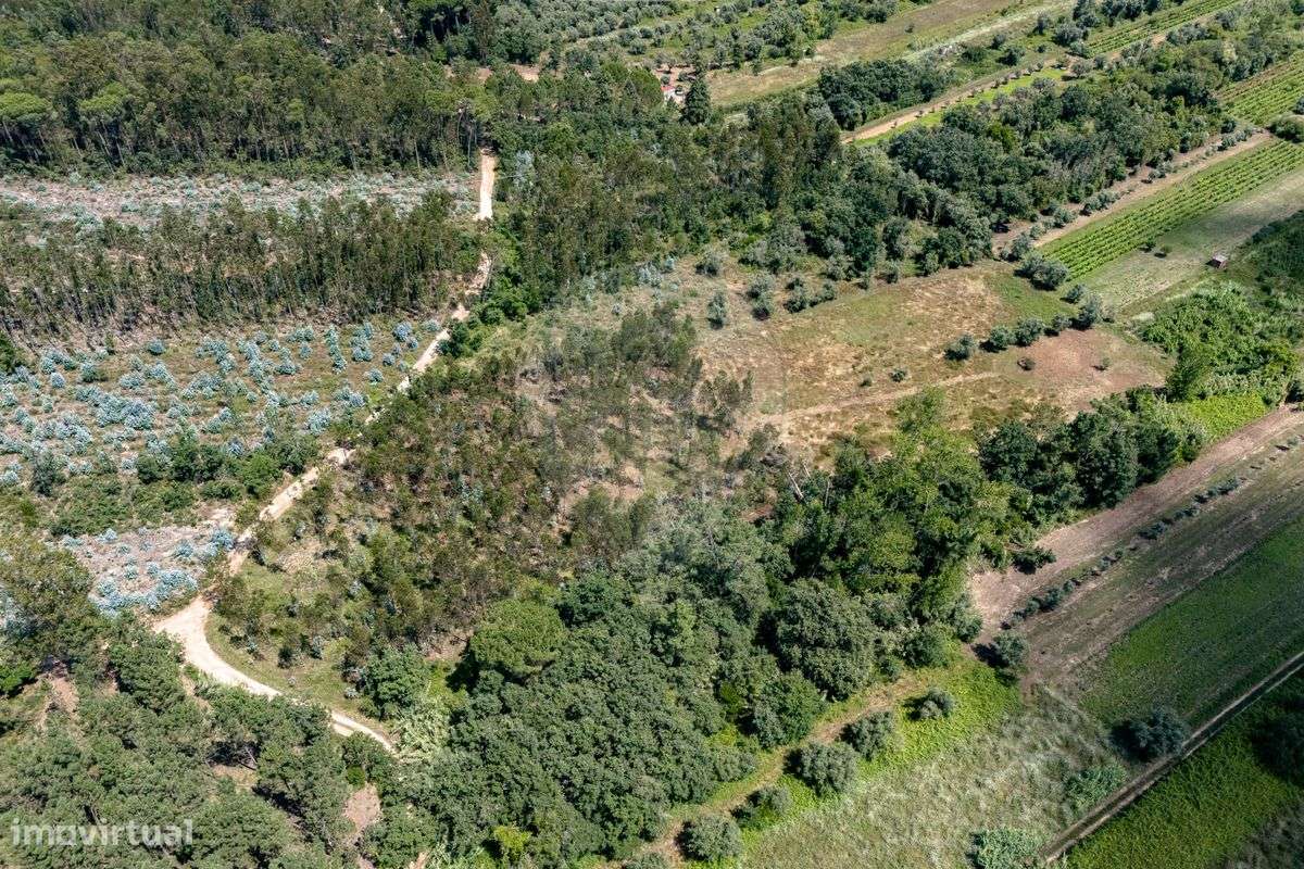 Terreno  para venda - Grande imagem: 4/12