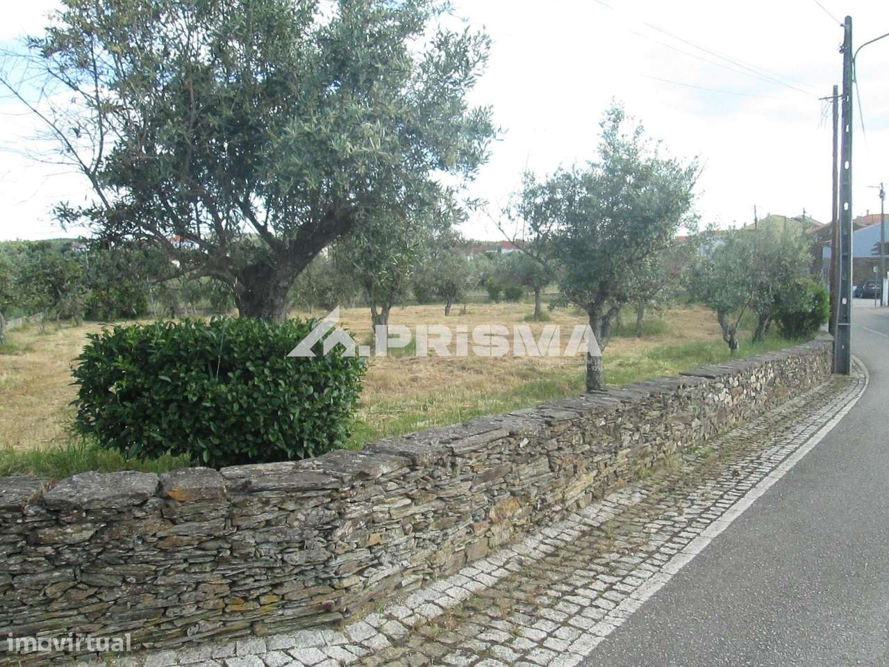 Terreno Rústico à Venda em Benquerenças - Grande imagem: 3/22