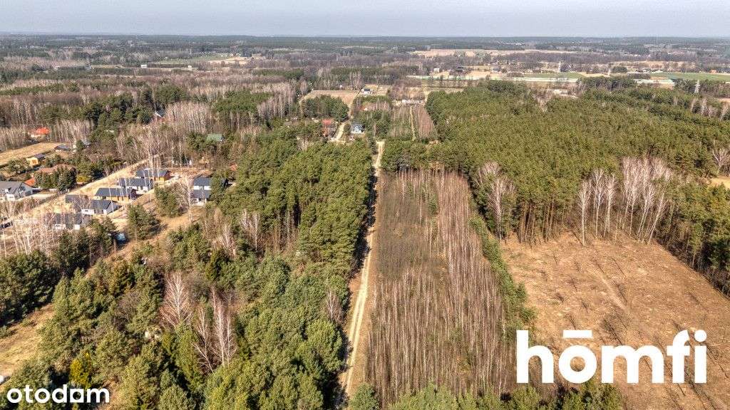 Rosanów - Zalesiona działka budowlana 2500 m2 - Pełny obrazek: 5/10