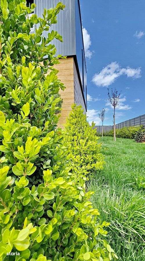 Model Tau Termen finalizare Decembrie 2026 - Imagine principală: 4/19