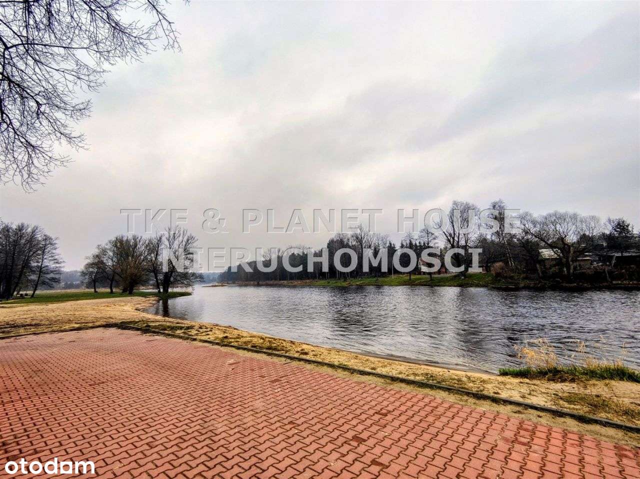 Zakościele Działka 3043 m2 blisko rzeki Pilicy - Pełny obrazek: 4/6