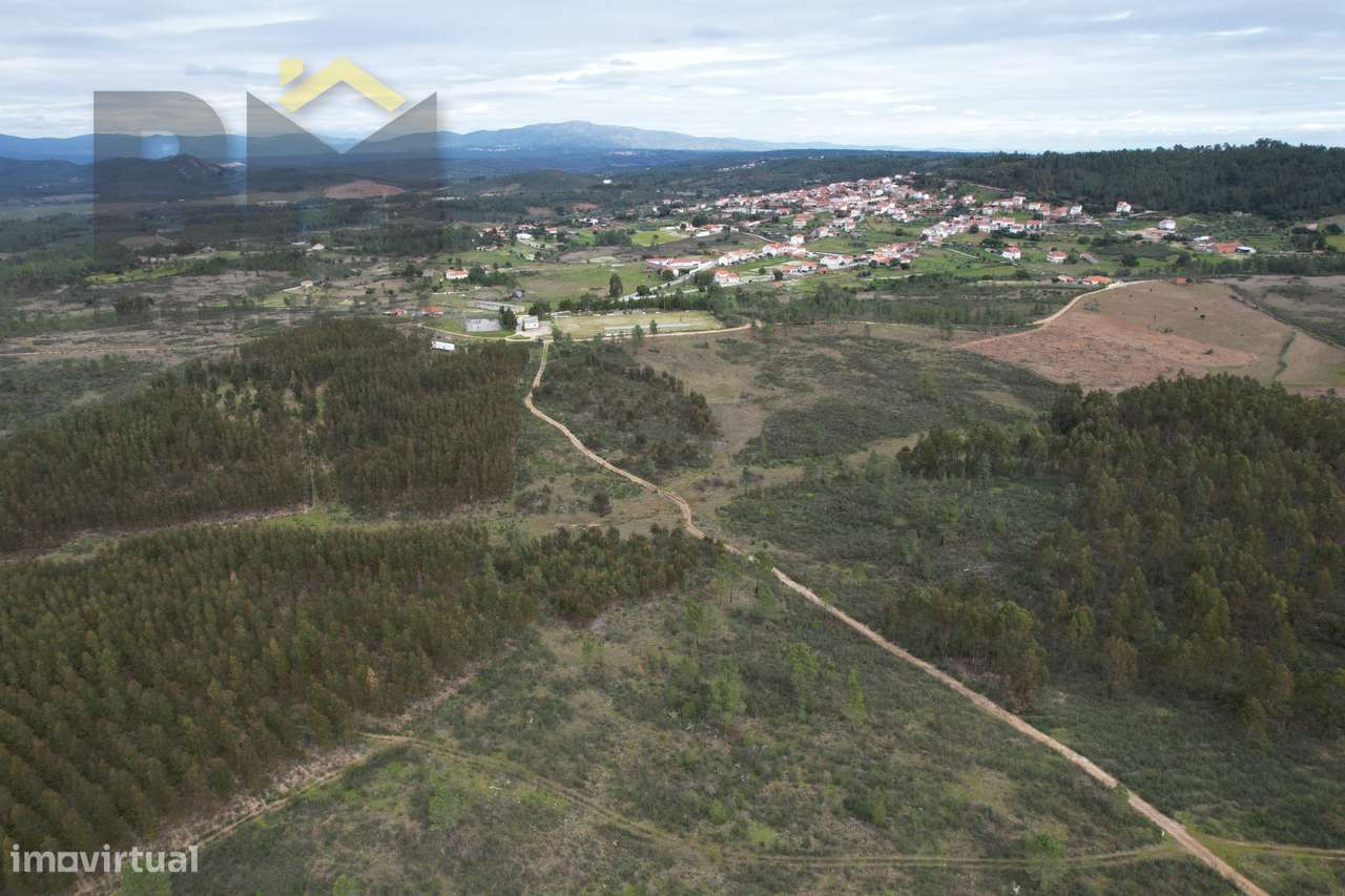 Terreno Rústico  Venda em Salgueiro do Campo,Castelo Branco - Grande imagem: 3/5
