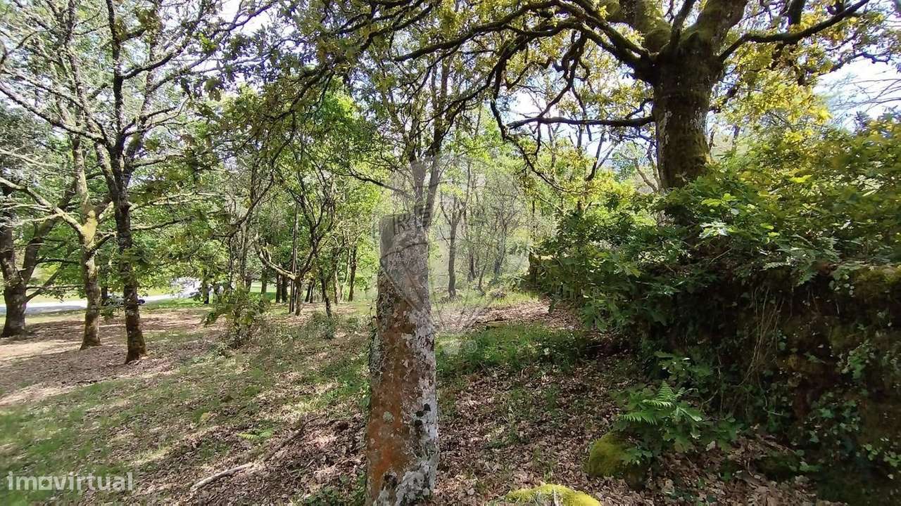 Terreno  para venda - Grande imagem: 5/6