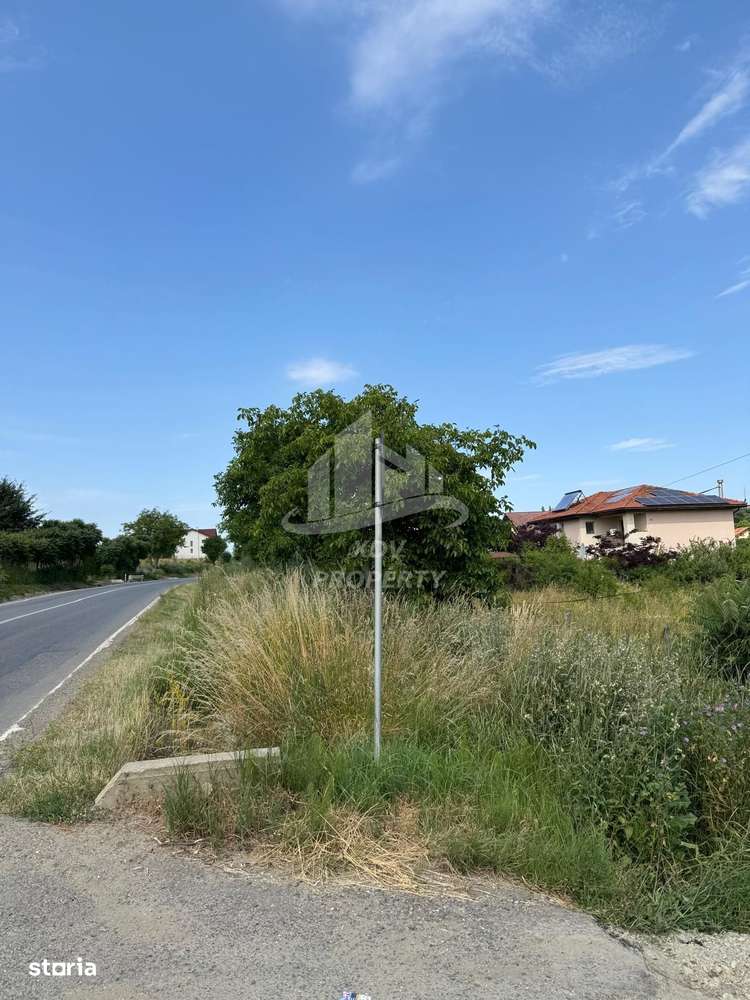 Teren intravilan  ,1020 mp, Sibiu, Daia Noua-2