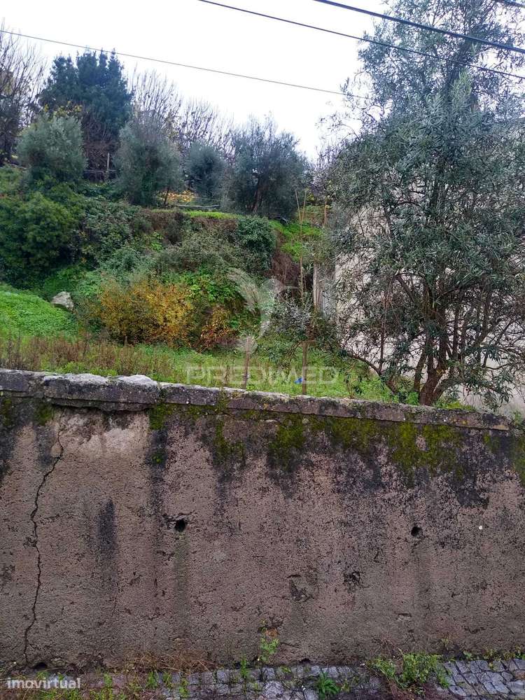 Terrena São Bartolomeu - Grande imagem: 2/4