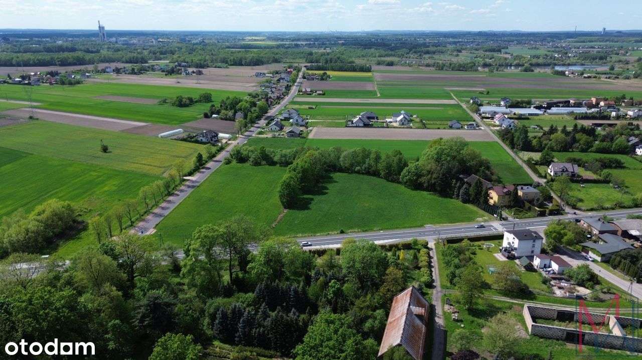 Działka usługowo- rolna Kopciowice gmina Chełm Śląski-12