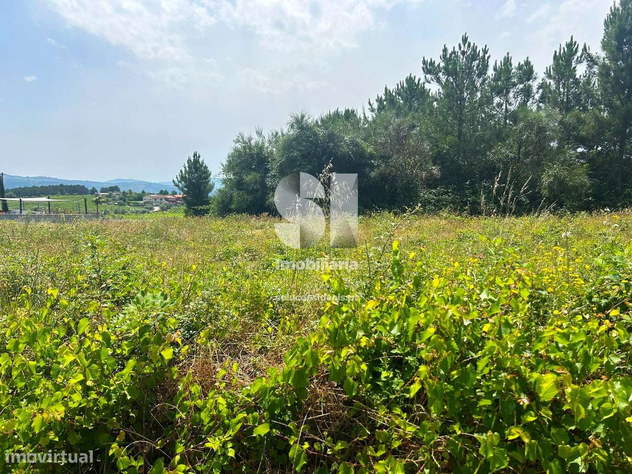 Terreno rústico urbanizável - Grande imagem: 4/9