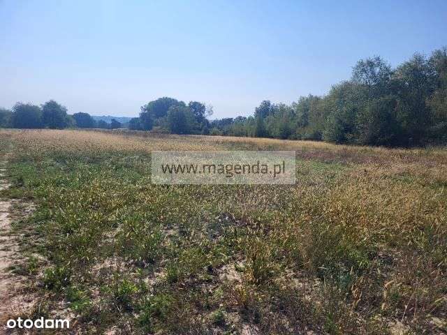 Działka, 14 399 m², Miączyn - Pełny obrazek: 4/10