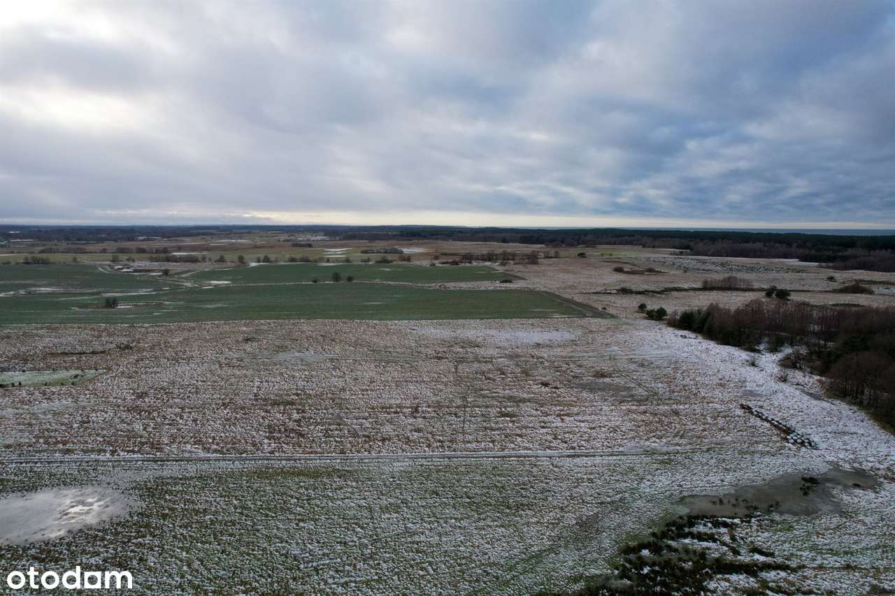 Machowinko - działka - Pełny obrazek: 4/5