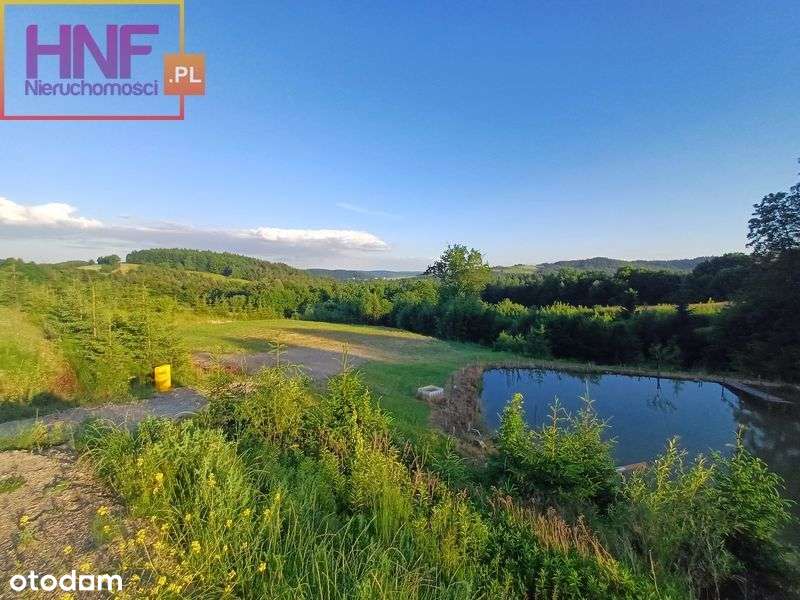 Malownicza działka w miejscowości Dzierżaniny 65ar - Pełny obrazek: 5/20