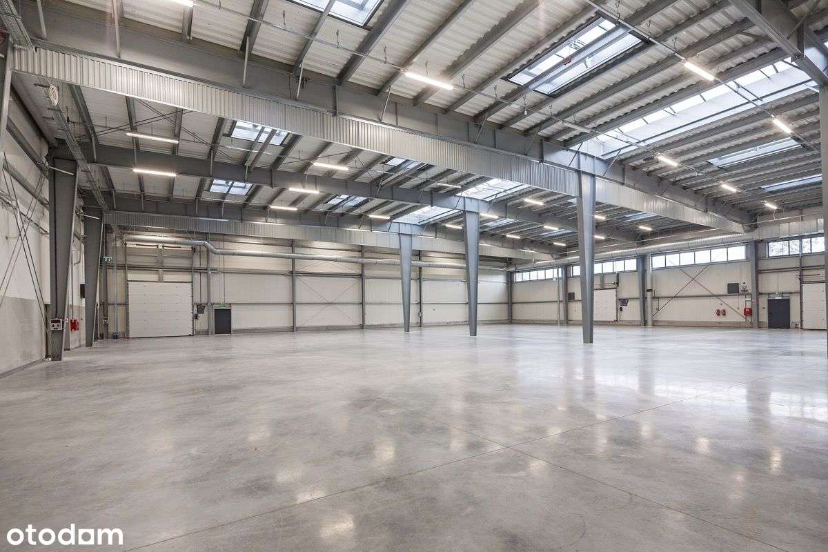 Teren z Pnb 60.005m2 i budowa hali 21.500m2 - Pełny obrazek: 4/7