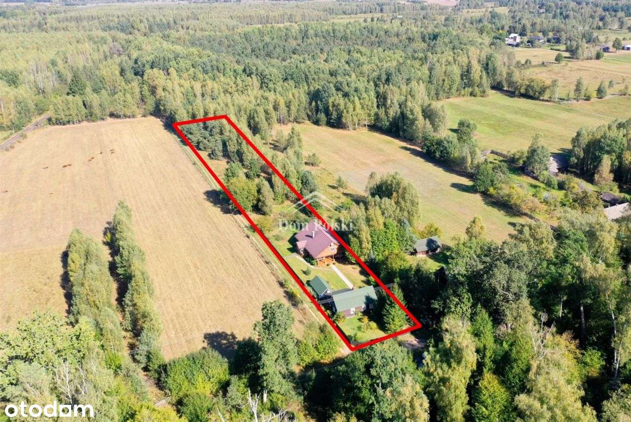 Podlaskie siedlisko w Puszczy Białowieskiej :) - Pełny obrazek: 4/20