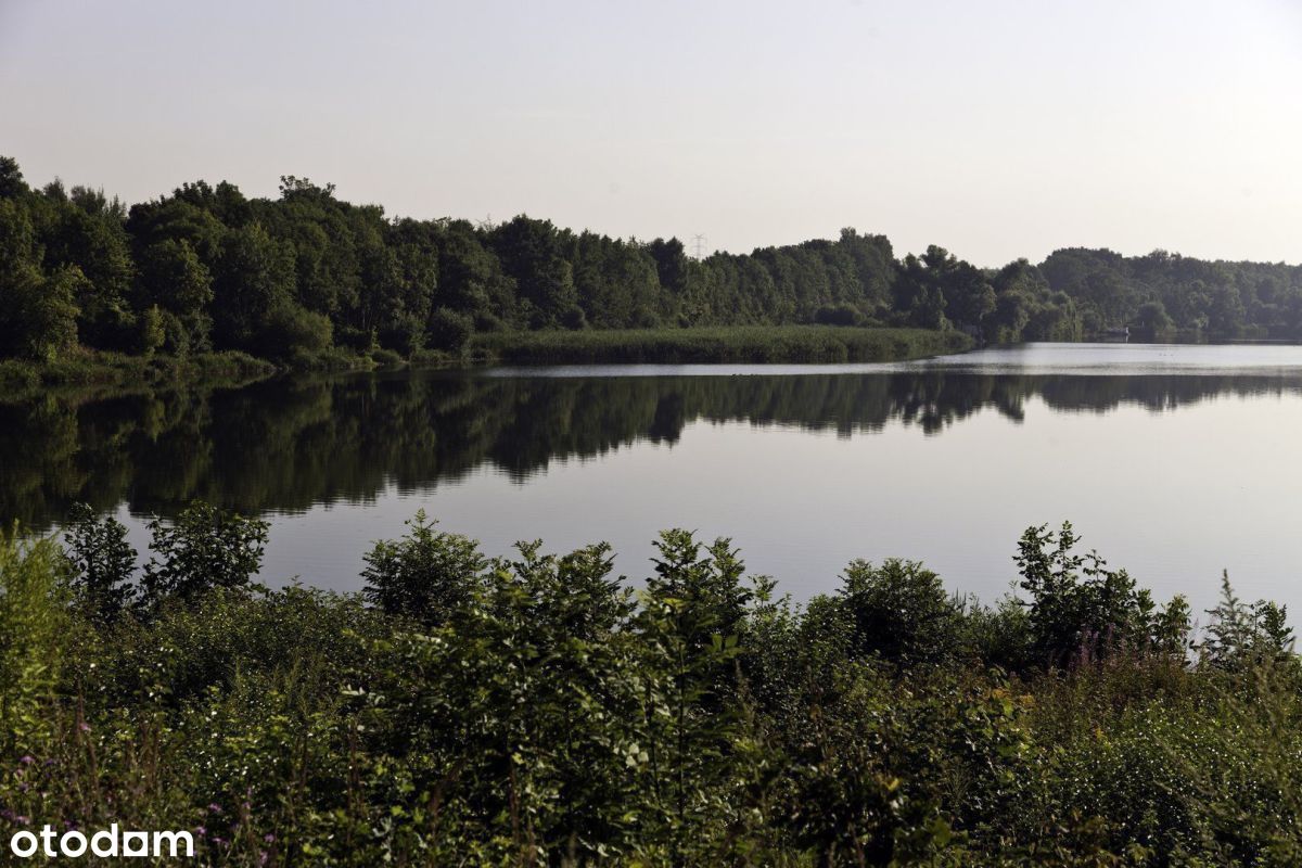 Lokal użytkowy, 1 400 m², Gliwice