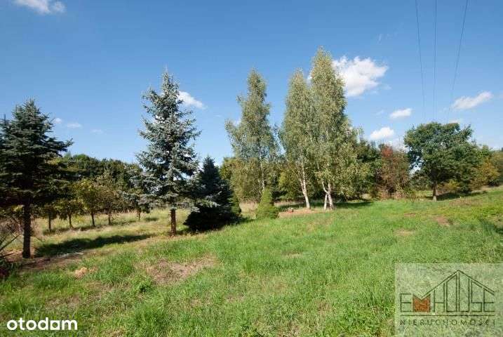 Kotowice-Działka-Las- blisko Wrocław/ Oborniki Śl. - Pełny obrazek: 5/8