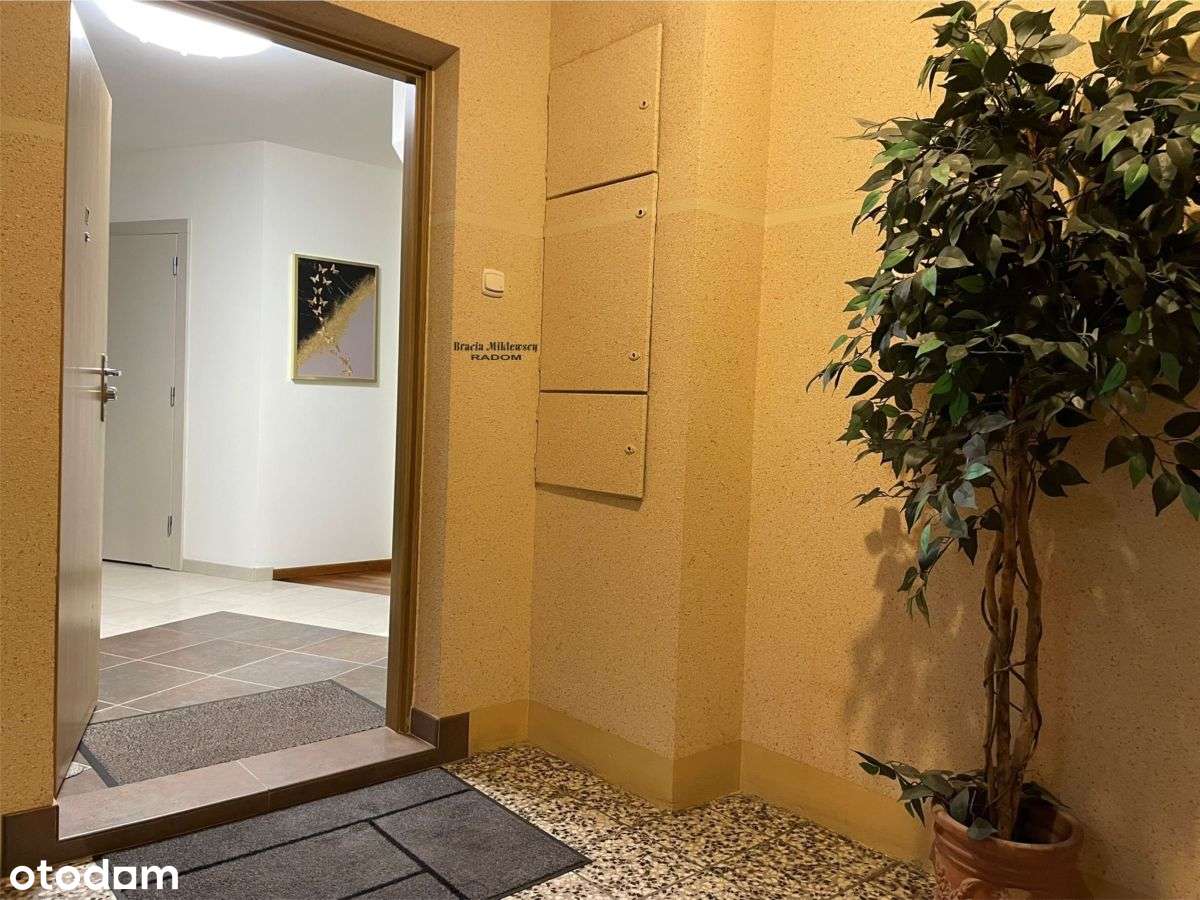 przestronne mieszkanie przy ul. Mariackiej-15