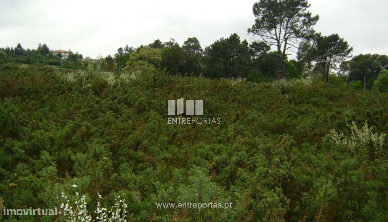 Venda Terreno, Manhuncelos, Marco de Canaveses - Grande imagem: 4/7