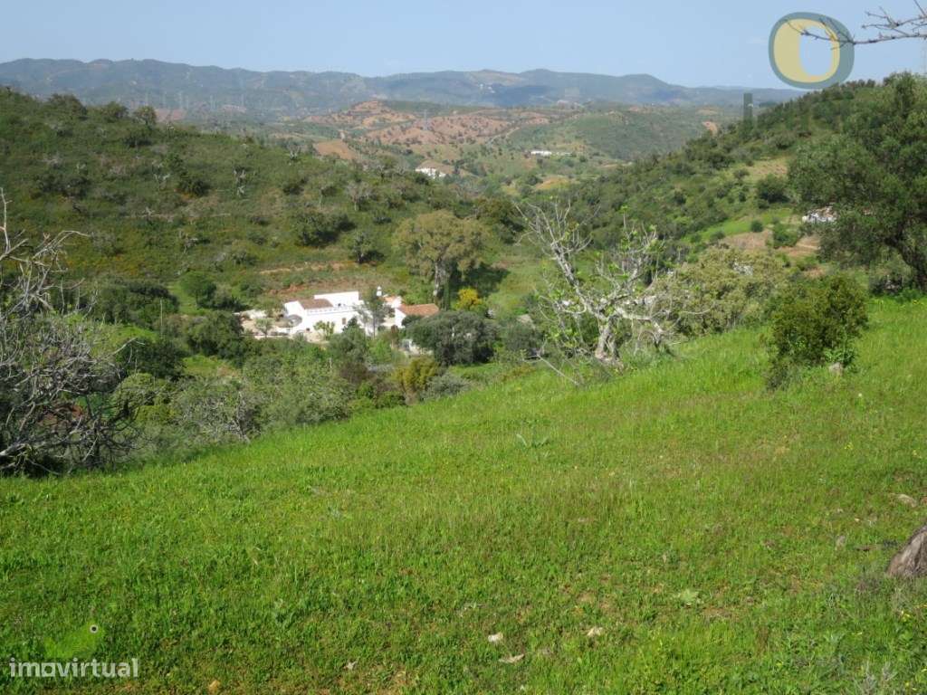 Terreno Urbano com ruína com Vista Mar e Serra - Grande imagem: 3/8