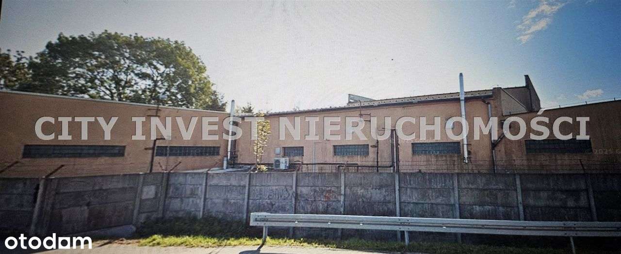 Lokal użytkowy, 2 100 m², Opalenica-1