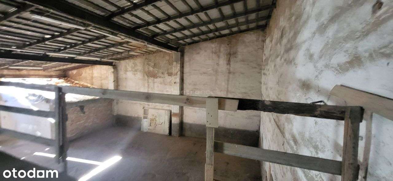 Hala - z pomieszczeniami socjalnymi, ogrzewana - Pełny obrazek: 4/9