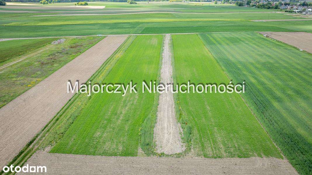 Działki budowlane w Jezierzycach Kościelnych - Pełny obrazek: 5/17