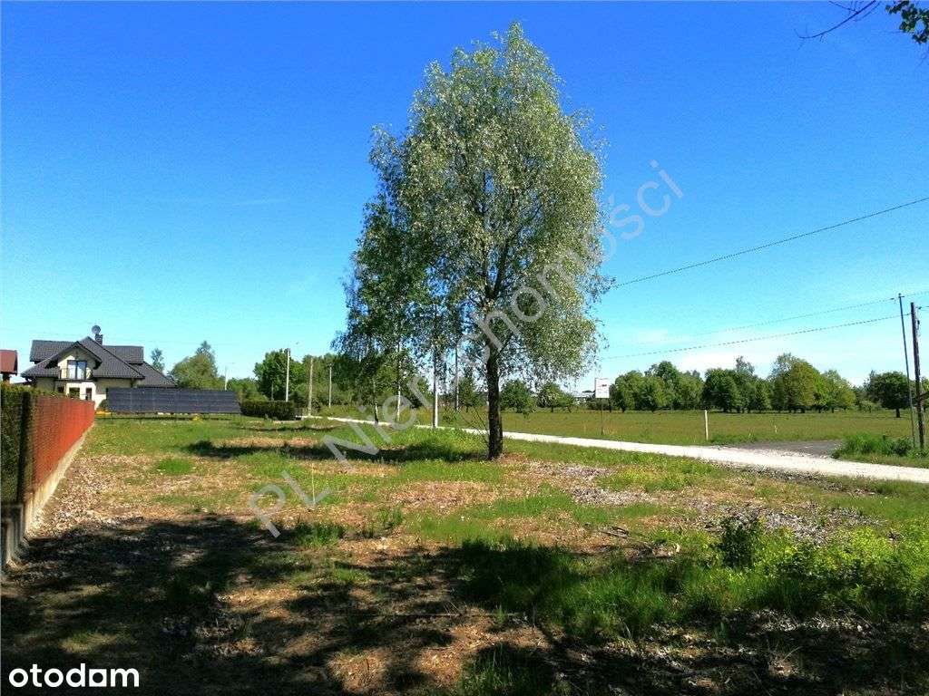 Działka na uboczu w gminie Wiązowna-7
