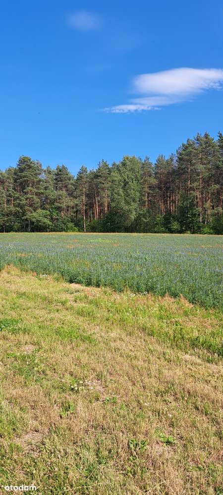 Dom całoroczny - Pełny obrazek: 5/19