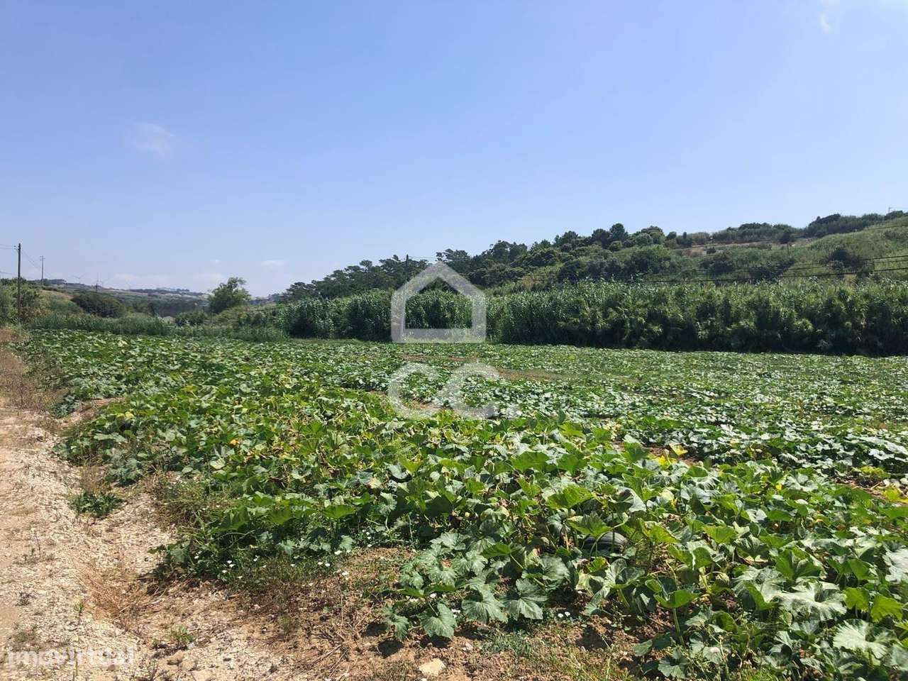 Excelente terreno agrícola com 4760 m2 - Grande imagem: 4/6