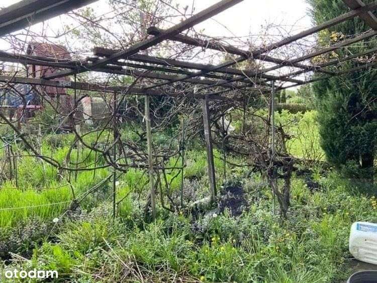 Dąbie- Działka rekreacyjna Rod Nad Jeziorem - Pełny obrazek: 3/8