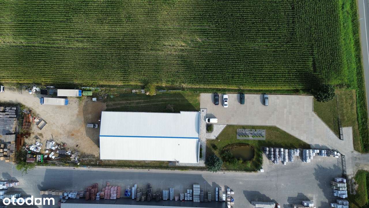 Hala magazynowo-produkcyjna 500 m² z biurem, Krępice DK94 - Pełny obrazek: 5/5