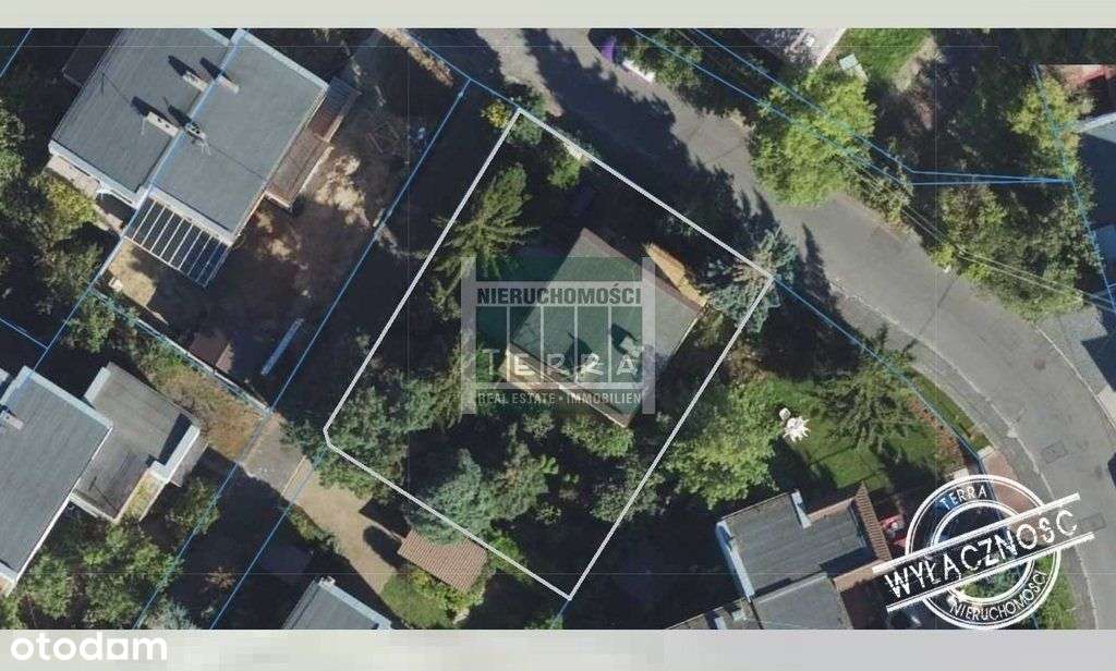 Zielony dom tonący w zieleni-2