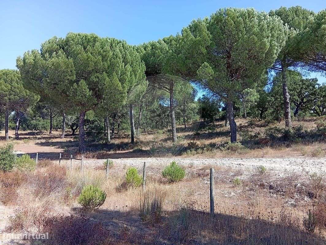 Terreno  para venda - Grande imagem: 5/6