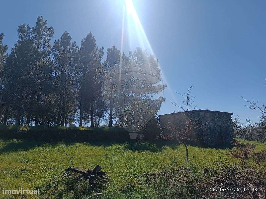 Terreno  para venda - Grande imagem: 2/8